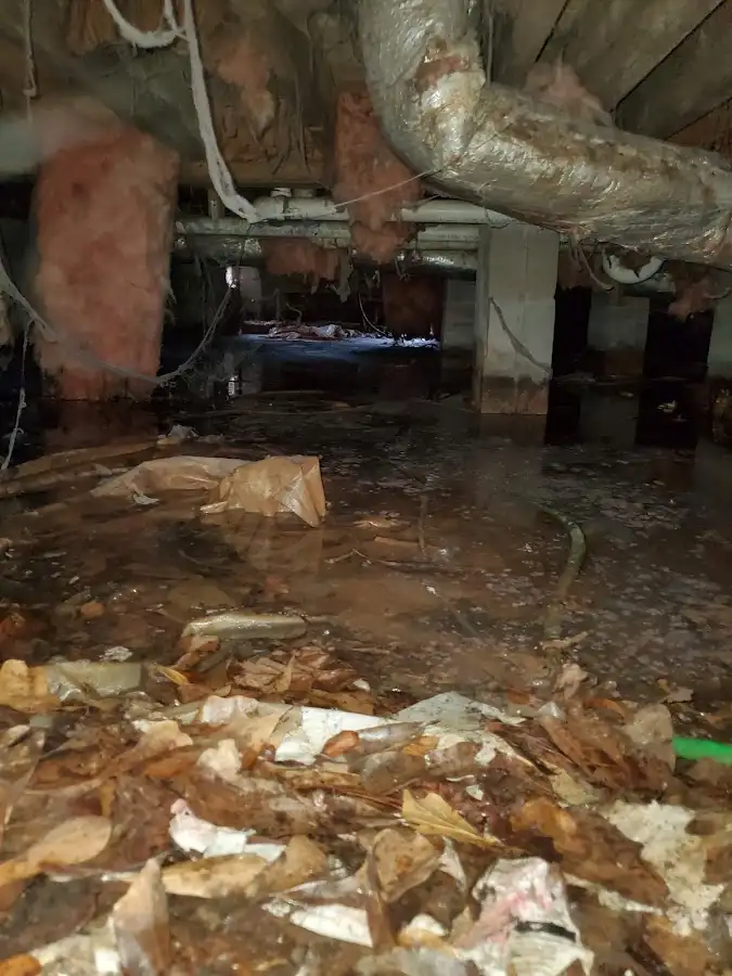 Crawl space flood assessment for Leak Detection & Repair in Galt
