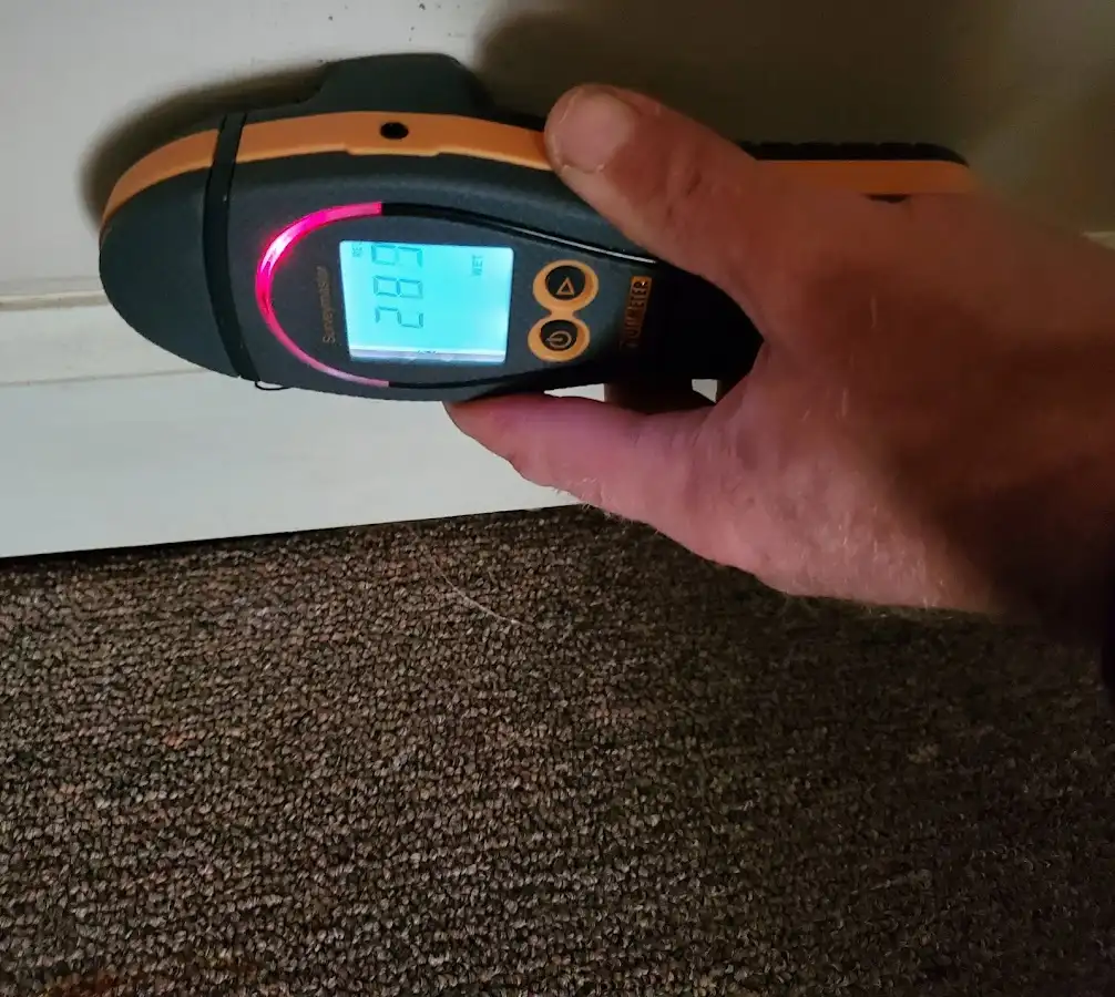 Moisture detection at baseboard during Mold Inspection & Testing in Galt